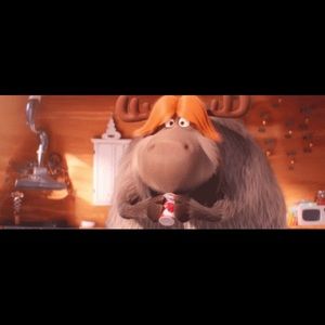 Meet your Posher, Josie